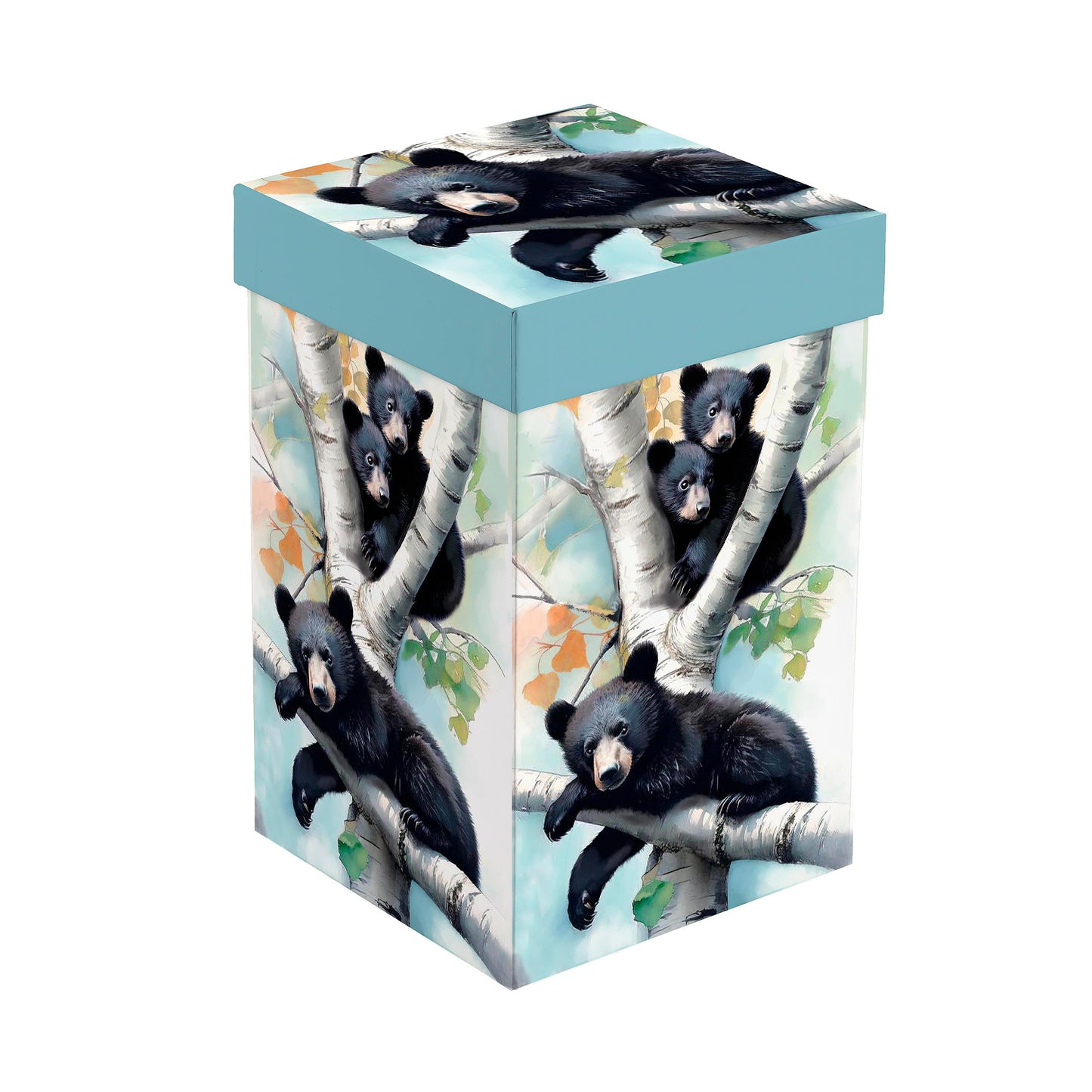 https://asset.productmarketingcloud.com/api/assetstorage/3909_15ab88ba-fd06-4d35-a286-2e89b23164c5