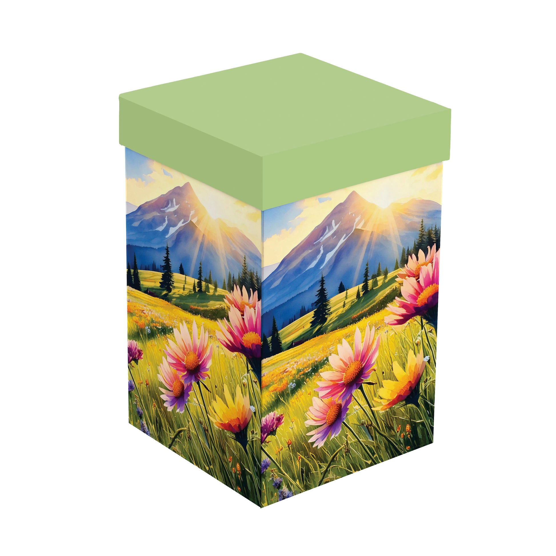 https://asset.productmarketingcloud.com/api/assetstorage/3909_79b9fbf8-93dd-462f-a08f-f8cebc7357e4