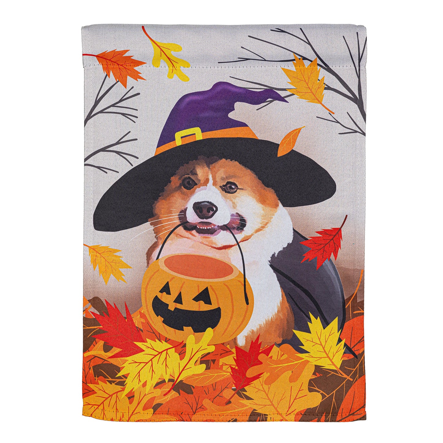 https://asset.productmarketingcloud.com/api/assetstorage/3909_9b5587b0-e65e-4e44-bb82-c7e67f1180a5