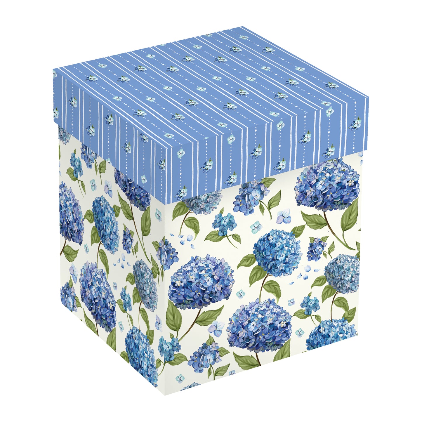 https://asset.productmarketingcloud.com/api/assetstorage/3909_b32bdd5b-356f-4781-86a3-c8c1c9197044