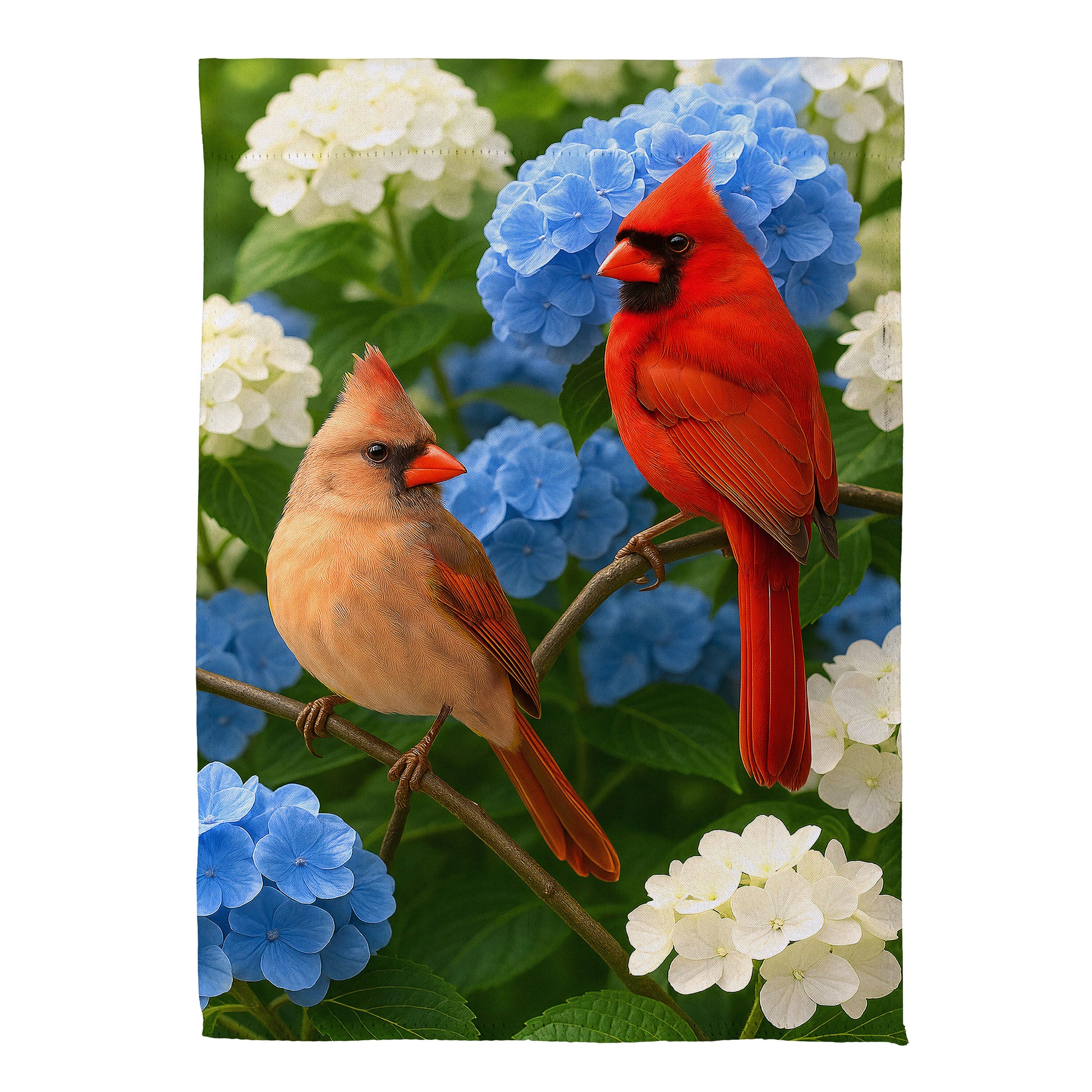 https://asset.productmarketingcloud.com/api/assetstorage/3909_24002576-147f-4a0f-afe2-10e7e66eee72