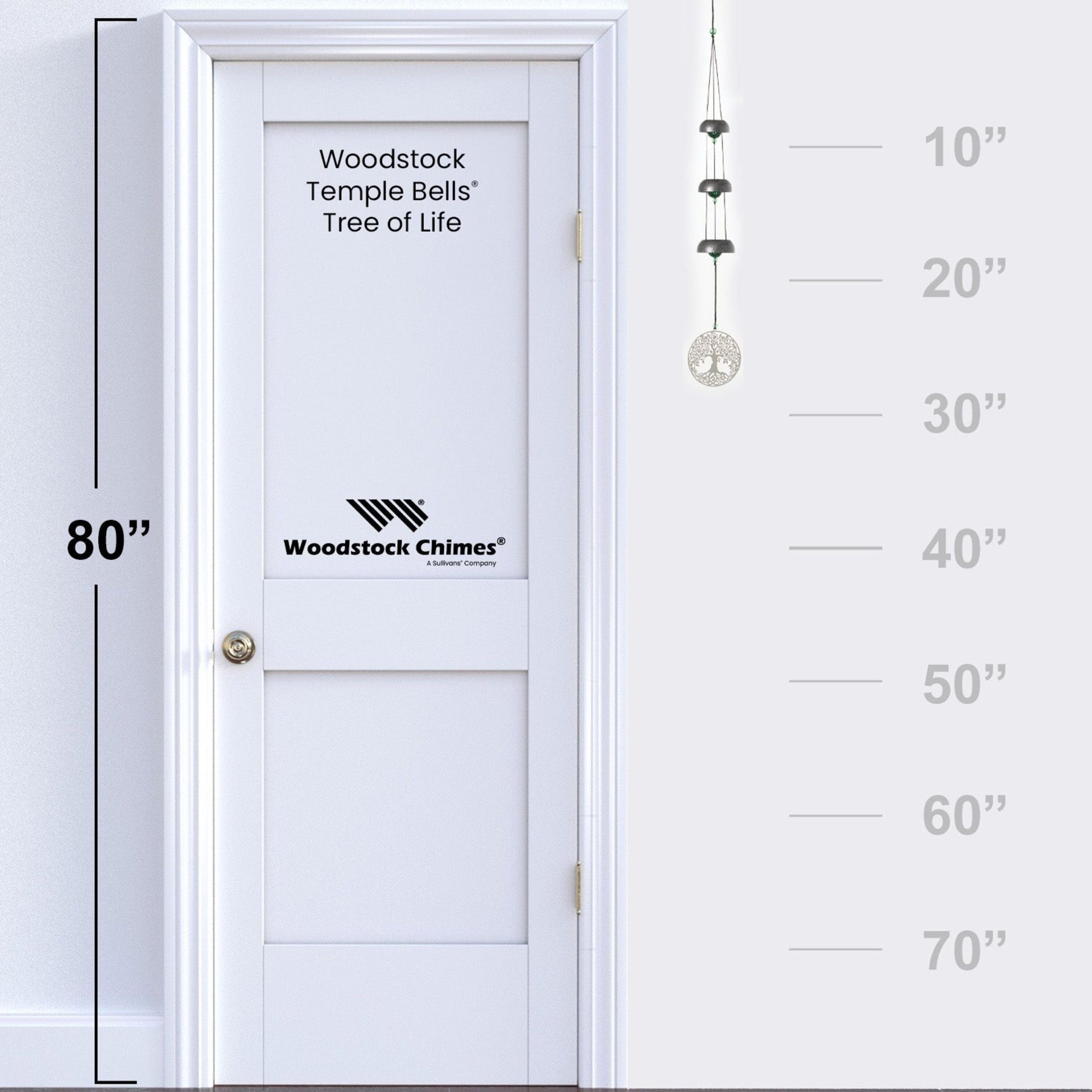 https://asset.productmarketingcloud.com/api/assetstorage/3909_dab5e2a4-f875-4d98-b8a1-9d7b442df9b9