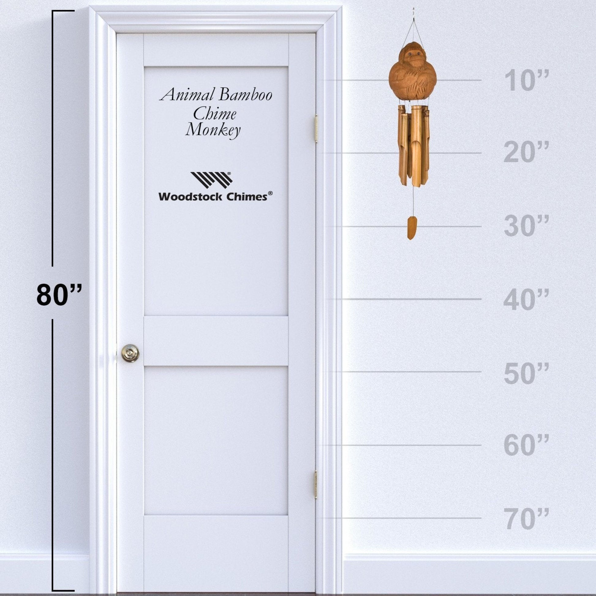 https://asset.productmarketingcloud.com/api/assetstorage/3909_34960d32-7f02-4cf5-bb11-41f45bc7dc65