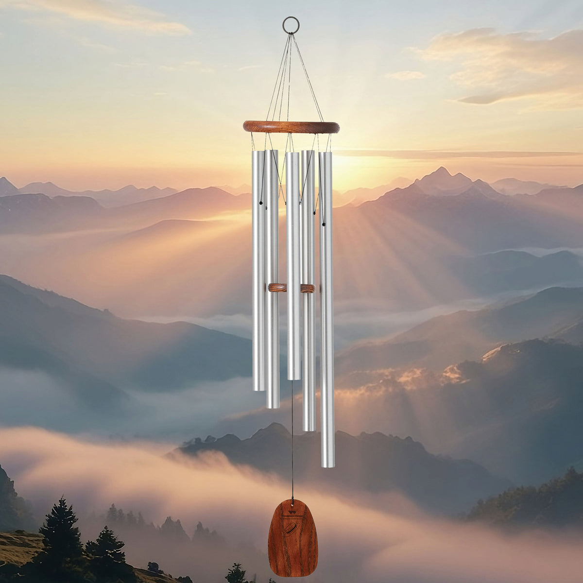 https://asset.productmarketingcloud.com/api/assetstorage/3909_81bbf4a3-d19e-4902-b23f-3f9e9d08d34b