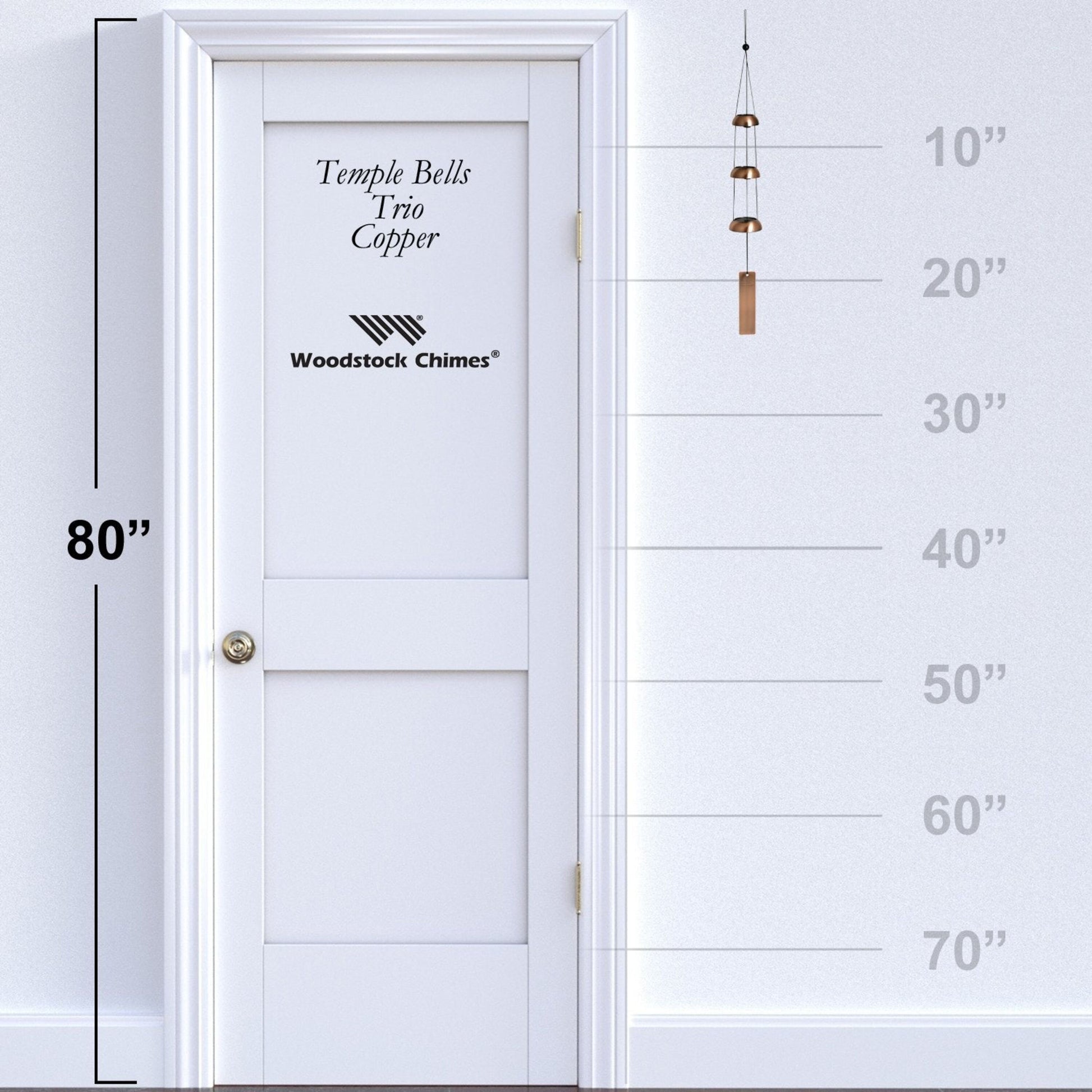 https://asset.productmarketingcloud.com/api/assetstorage/3909_48ace270-740a-4258-9ccb-38a64c2d9b95