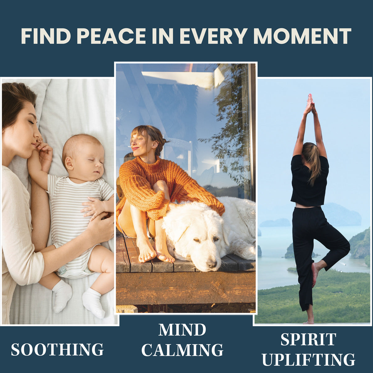 https://asset.productmarketingcloud.com/api/assetstorage/3909_a39299d2-c646-4b0d-94f4-ba00a98792e5
