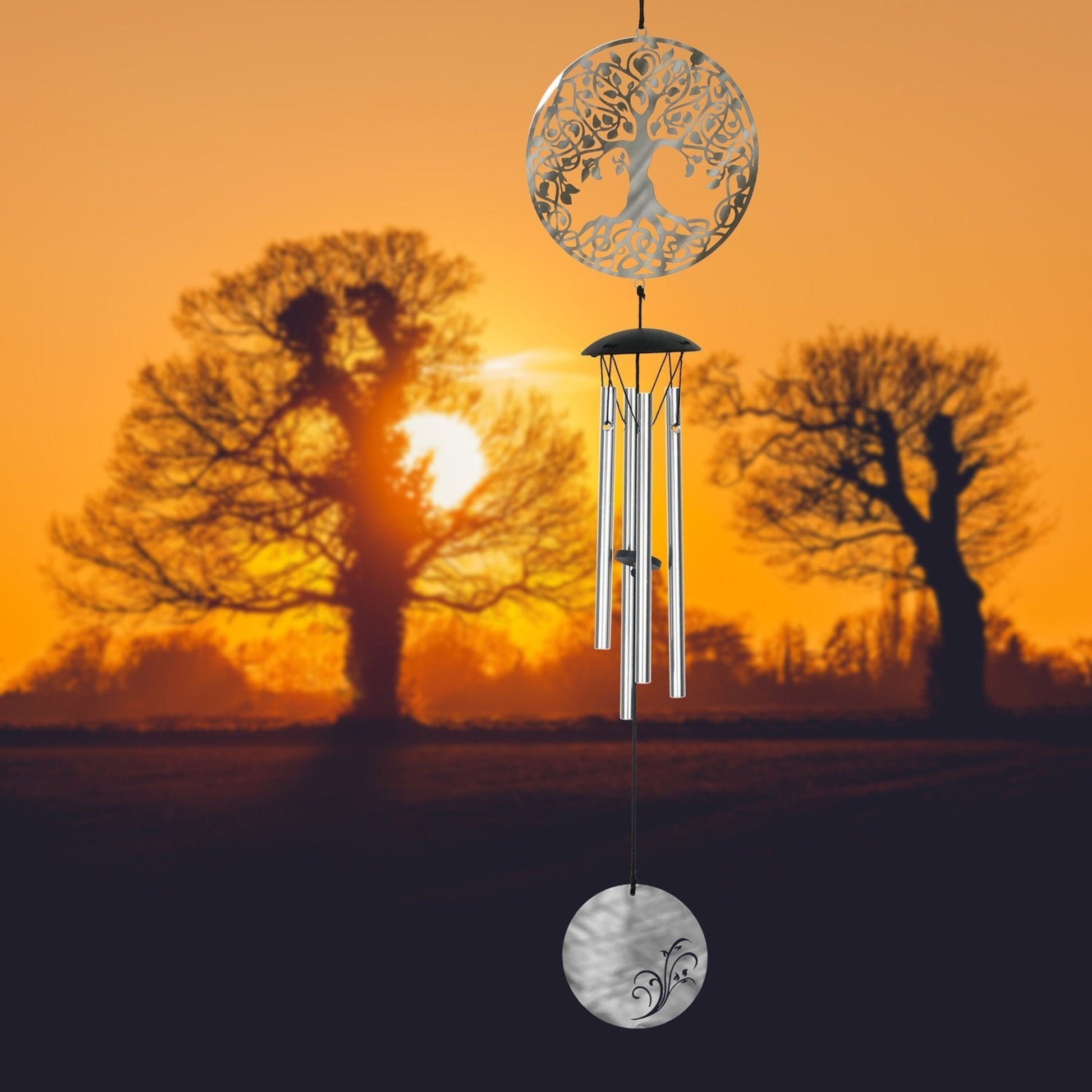 https://asset.productmarketingcloud.com/api/assetstorage/3909_fe14109b-dc83-407e-ae2f-d50c789f502a