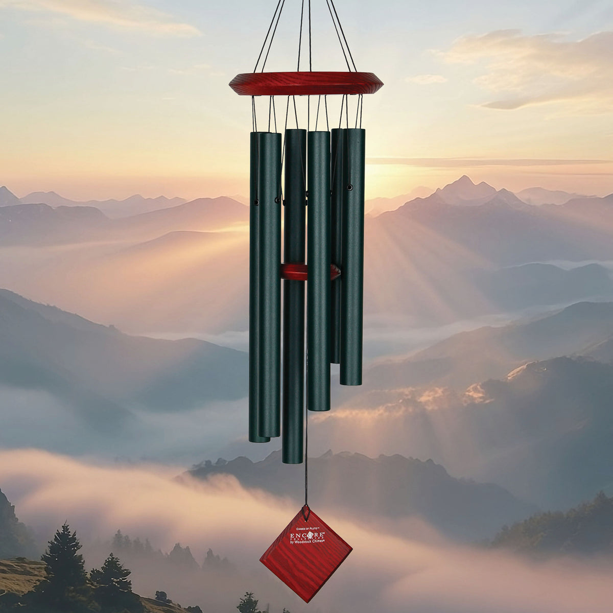 https://asset.productmarketingcloud.com/api/assetstorage/3909_feb0f8da-aa3a-419a-aace-9c5c057396a4