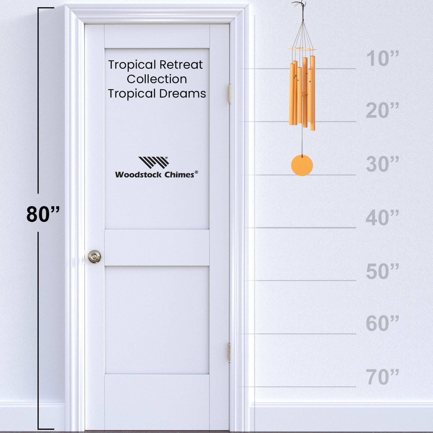 https://asset.productmarketingcloud.com/api/assetstorage/3909_2b6ad169-3892-43bb-939a-d73de28a851d