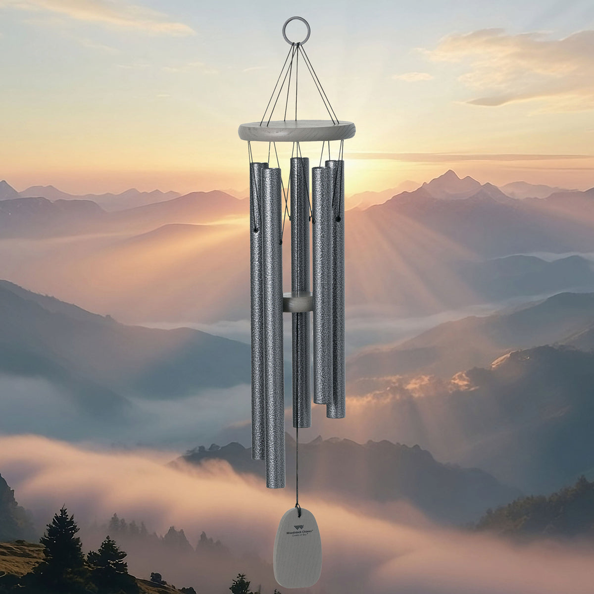 https://asset.productmarketingcloud.com/api/assetstorage/3909_a11e2e71-9d22-4688-abb7-42914ffd931f