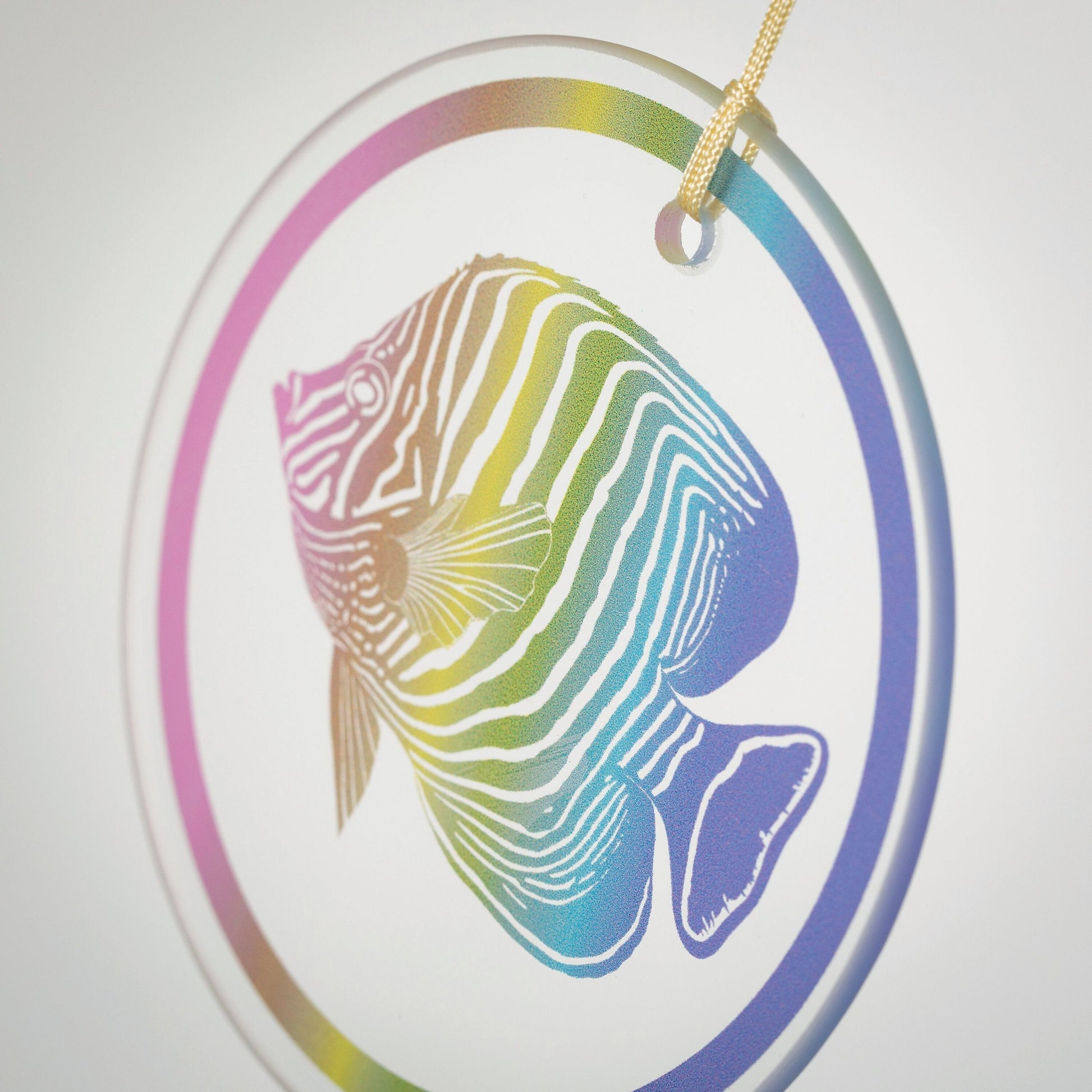 https://asset.productmarketingcloud.com/api/assetstorage/3909_66e62878-382a-44e6-a44b-7faefd1cbb82