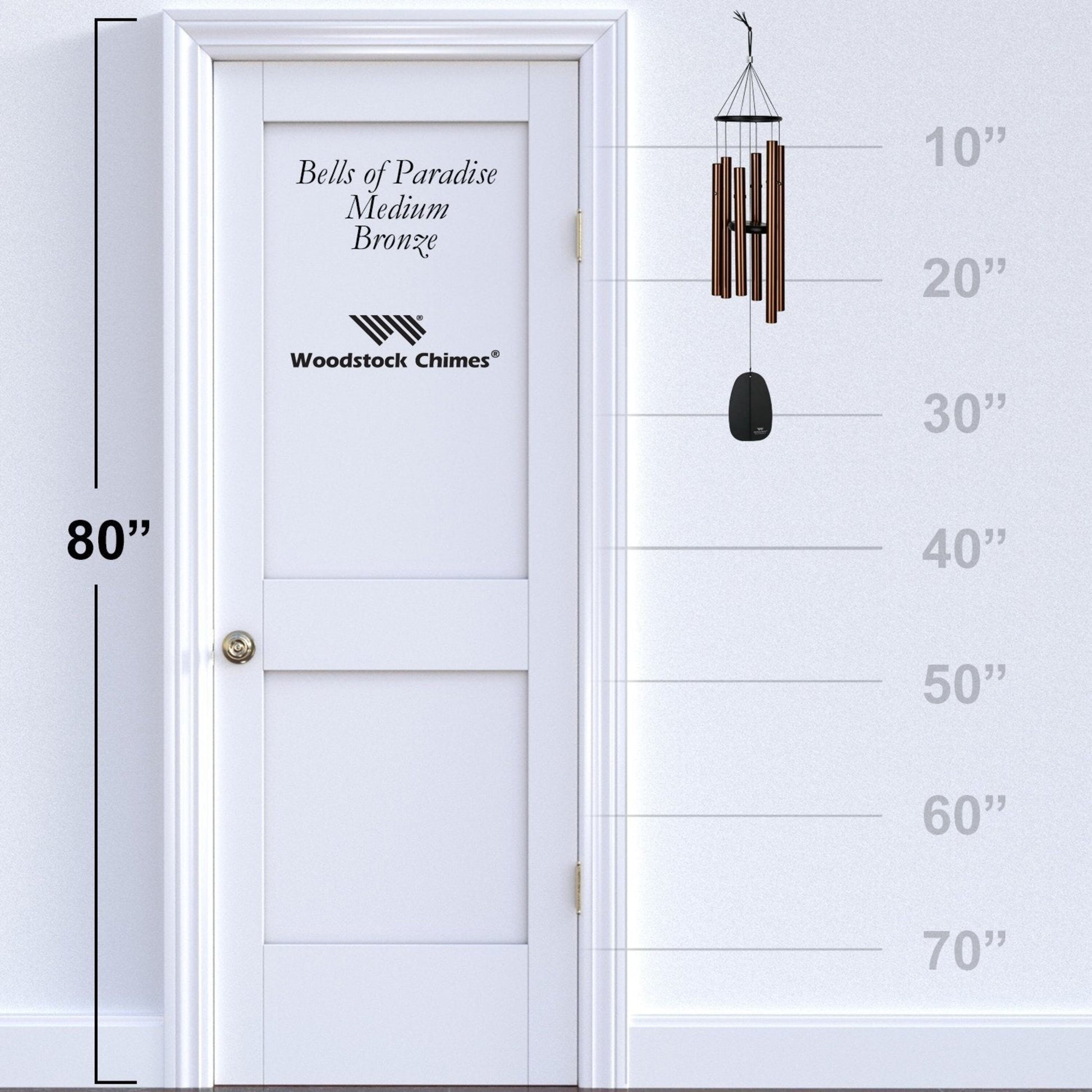 https://asset.productmarketingcloud.com/api/assetstorage/3909_80fe5dea-f37c-4852-8501-7bca5c349c66