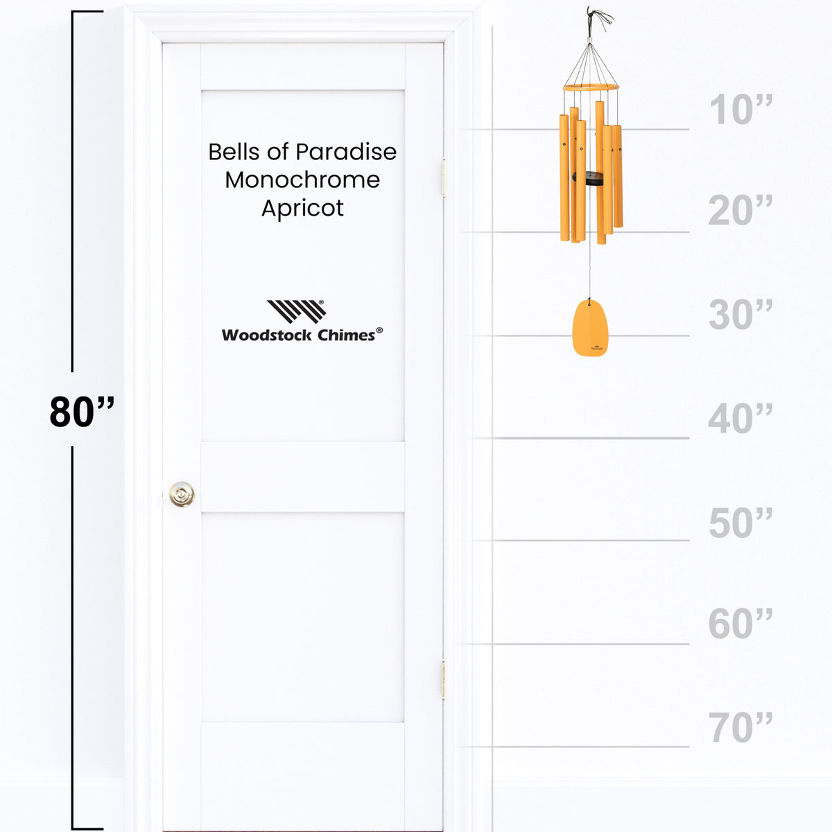 https://asset.productmarketingcloud.com/api/assetstorage/3909_45bbd869-2a16-4010-8936-d996c73f3c1c