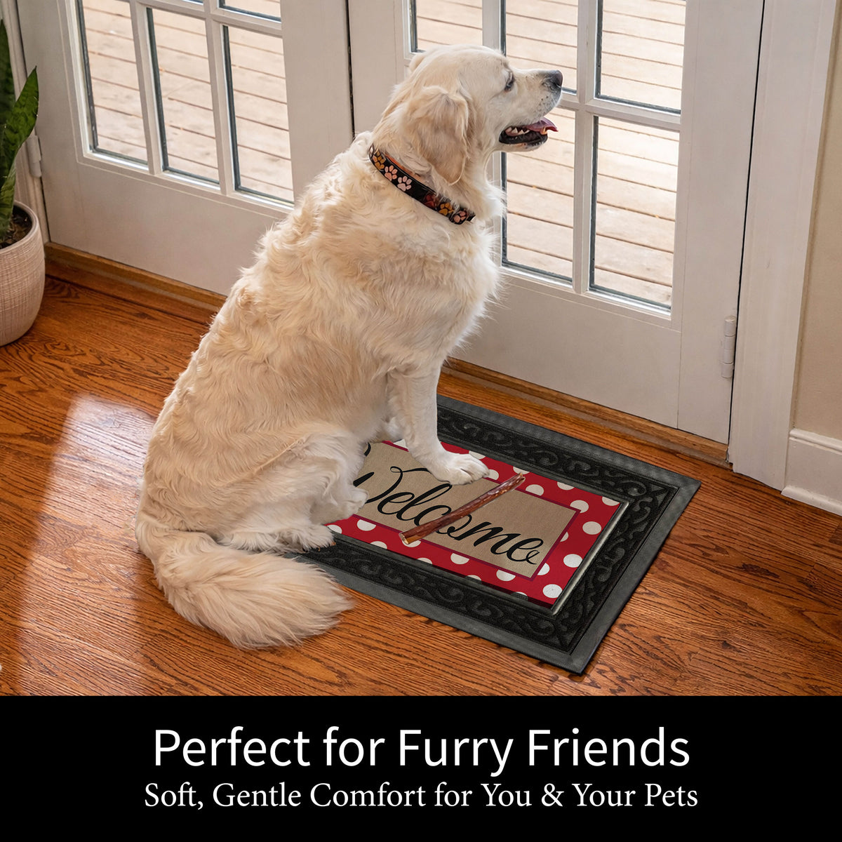 https://asset.productmarketingcloud.com/api/assetstorage/3909_44ae390a-3bbf-4c8f-a3cb-61dee816452c