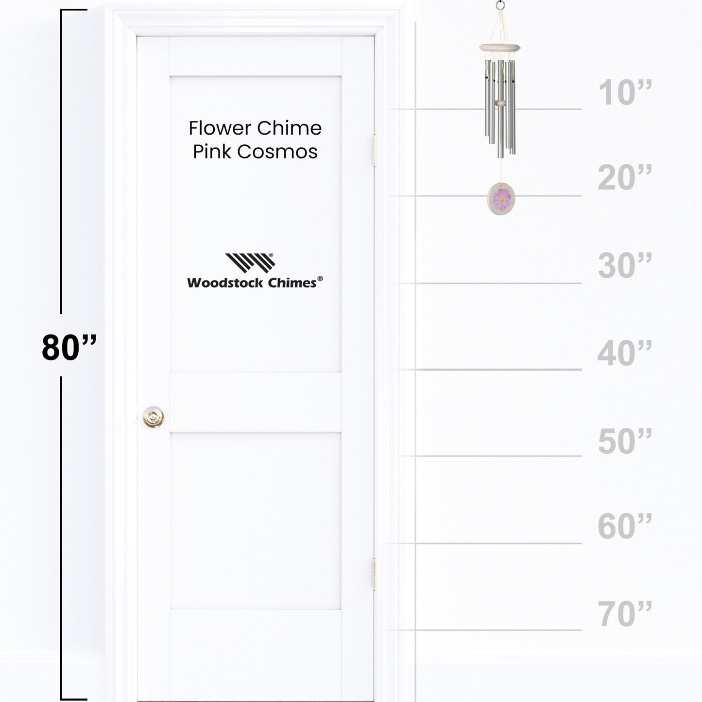 https://asset.productmarketingcloud.com/api/assetstorage/3909_5be8c712-6ba9-49c3-99e2-f8cece71a258