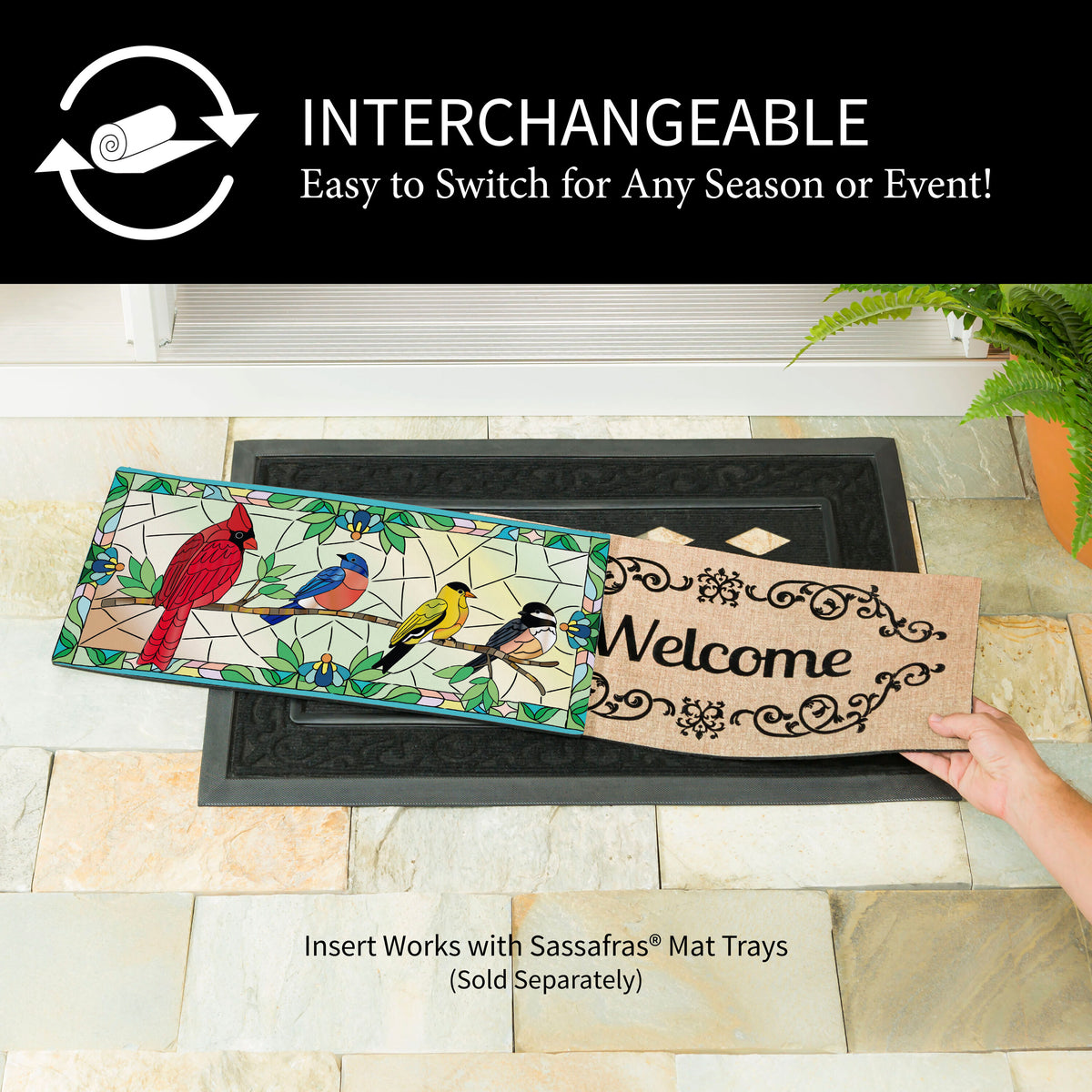 https://asset.productmarketingcloud.com/api/assetstorage/3909_f6d0e27f-ffa4-4646-9363-7f353fe455fc