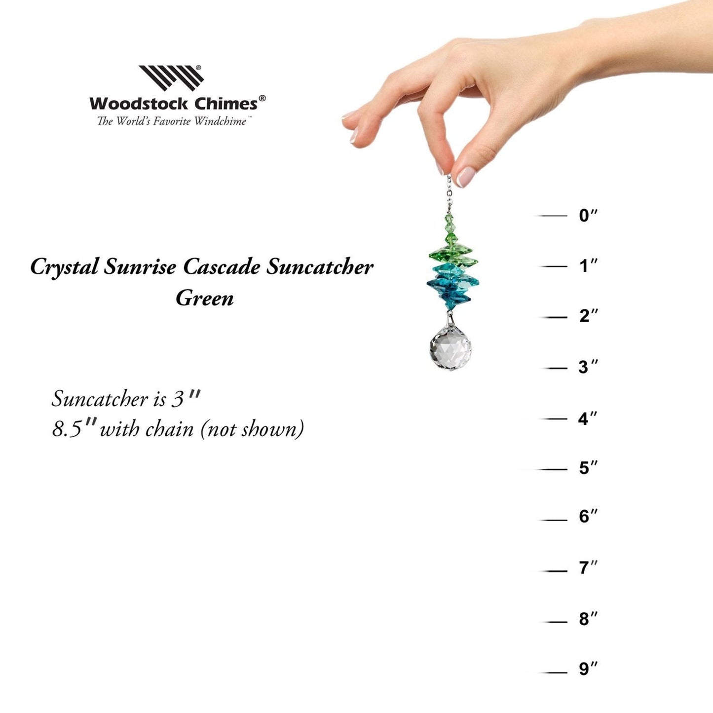 https://asset.productmarketingcloud.com/api/assetstorage/3909_805fe3f3-9e03-4da0-9a8b-adeeae460247