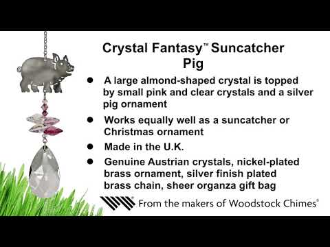 https://www.youtube.com/watch?v=EcuUFQgf4lc