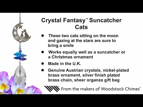 https://www.youtube.com/watch?v=_dyGJaDj_5U