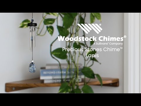 https://www.youtube.com/watch?v=wUr3Czl3T8k