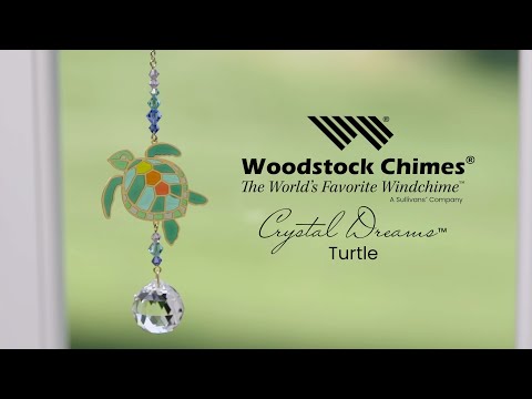 https://www.youtube.com/watch?v=8zkMokqItQQ