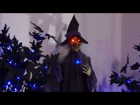 https://www.youtube.com/watch?v=K9CDUfZxT7c