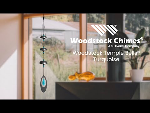 https://www.youtube.com/watch?v=_R05cck7pgw