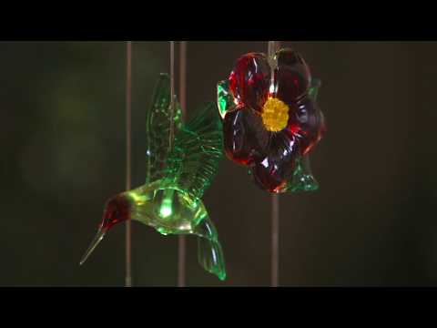 https://www.youtube.com/watch?v=cd_iCBhby-U