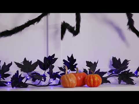 https://www.youtube.com/watch?v=GOFJTnrO8Uc