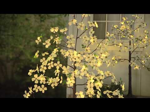 https://www.youtube.com/watch?v=VHOvIh9PNuI