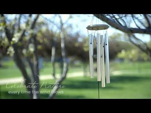 https://www.youtube.com/watch?v=eiOy70jddNU