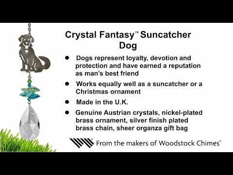 https://www.youtube.com/watch?v=SjPkue4rS2E