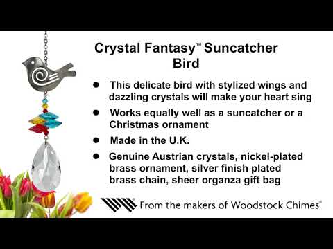 https://www.youtube.com/watch?v=MaWUkShivy0