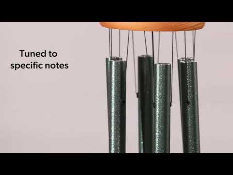 https://www.youtube.com/watch?v=3XtDtvoGzWo