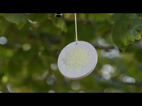 https://www.youtube.com/watch?v=qeT4gqJZ3UQ