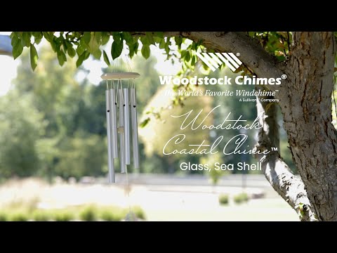 https://www.youtube.com/watch?v=aclpMRqGFAk