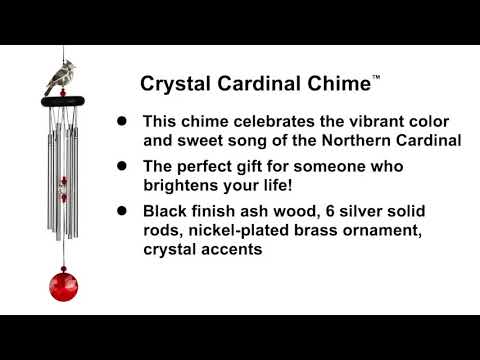 https://www.youtube.com/watch?v=VXZrvRuelog