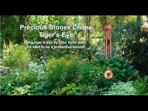 https://www.youtube.com/watch?v=0o_wlGWyqpg