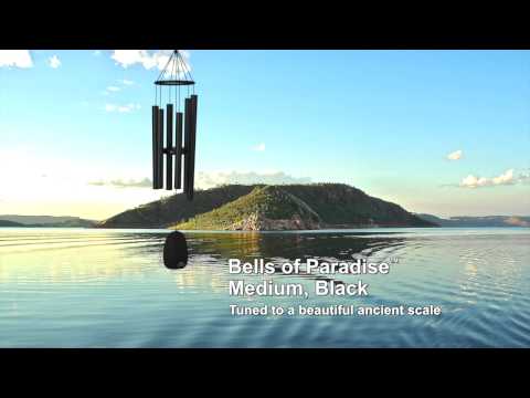 https://www.youtube.com/watch?v=FvSYM7gE9nY