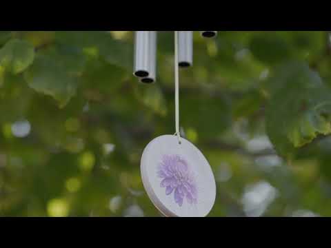 https://www.youtube.com/watch?v=m6ryxniPUjQ